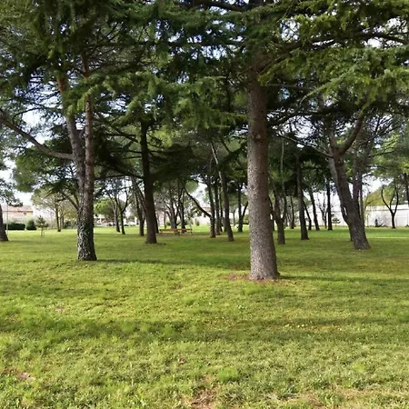 Lino B4 By Interhome * Umag